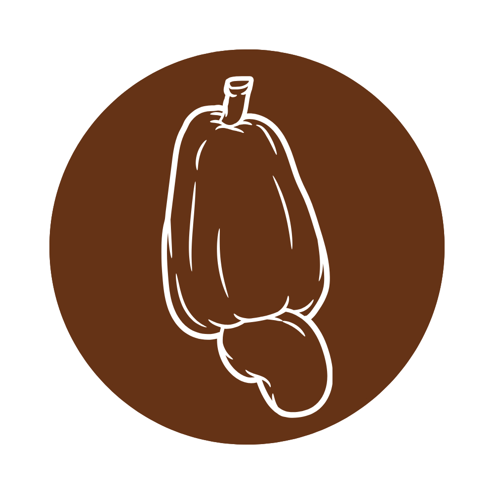 Sa cashew nut (1)
