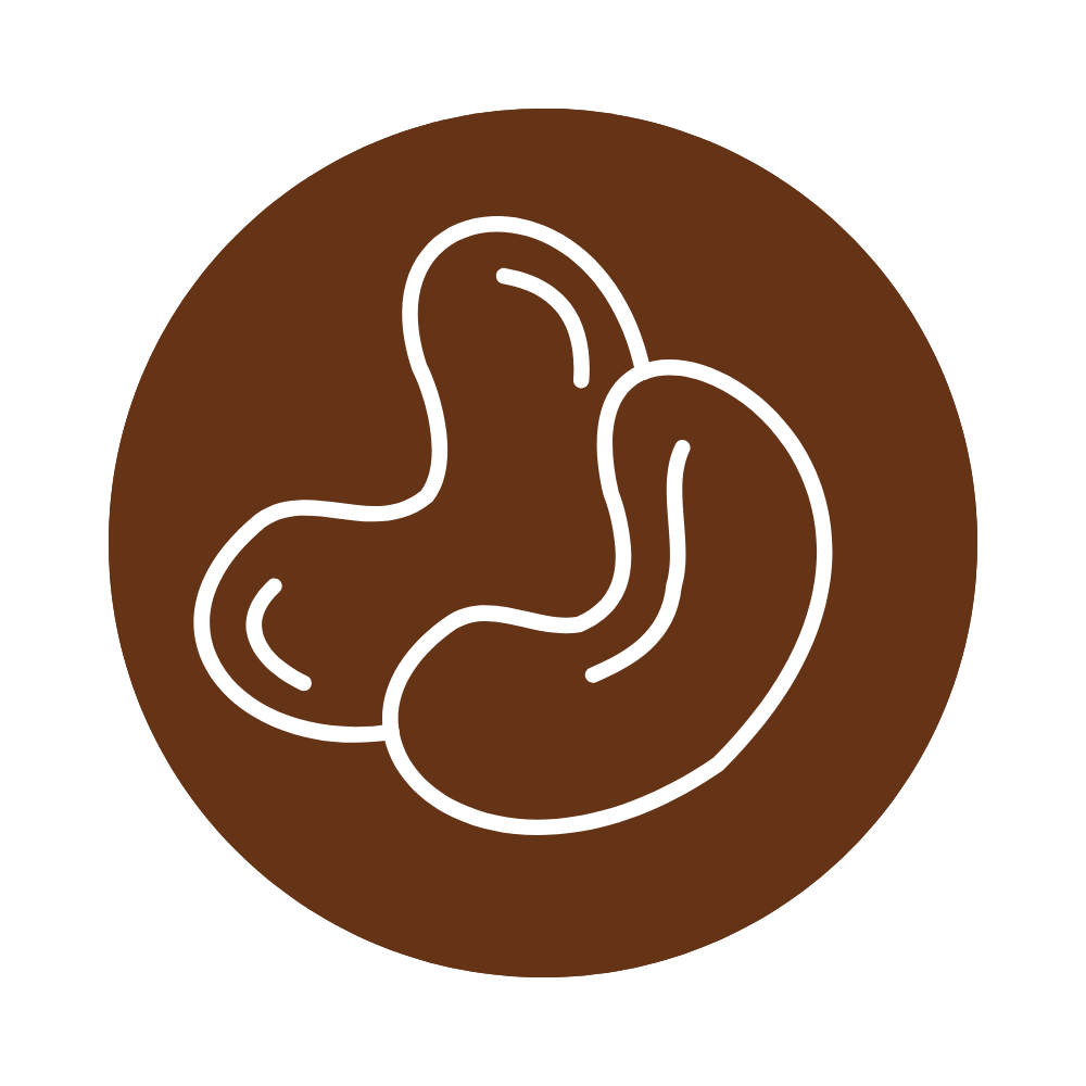 Sa cashew nut (2)
